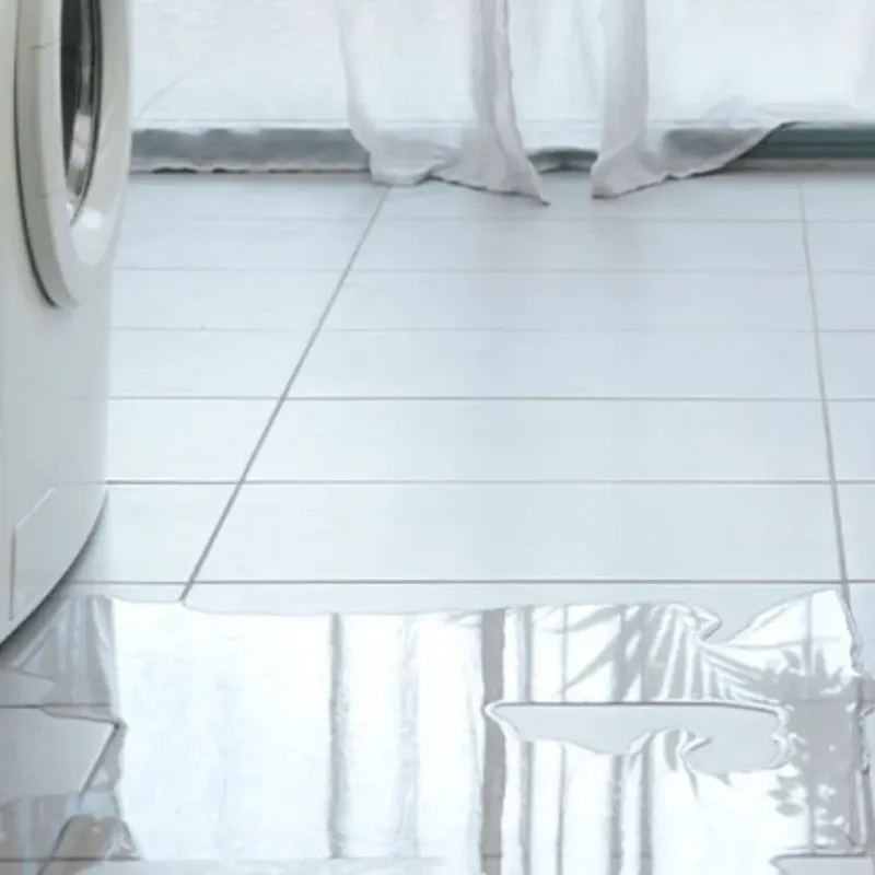 Appliance Leak Cleanup in Eureka, KS