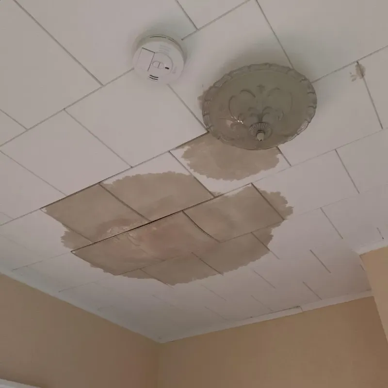 Ceiling Water Damage Repair in Eureka, KS