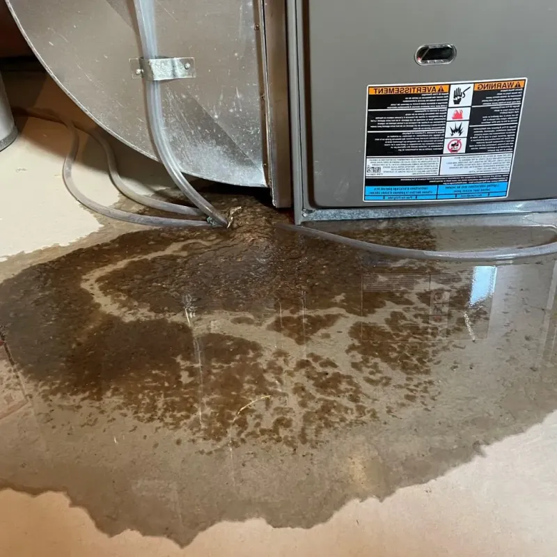 Pipe Burst and Leak Restoration in Eureka, KS